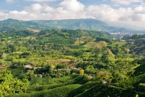 Fazendas Centenárias de Café Andino